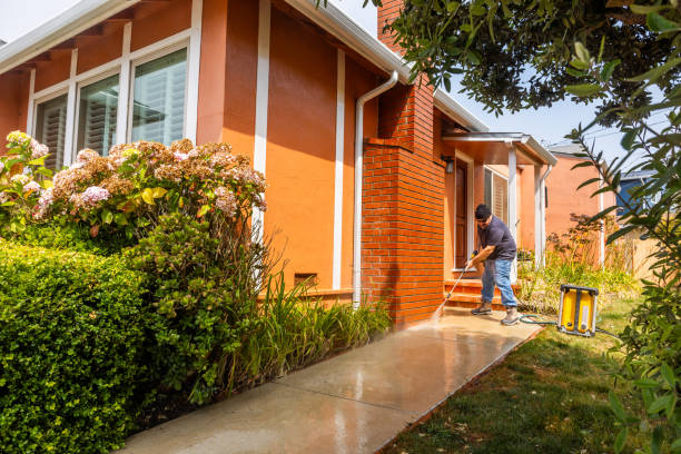 Best Deck Cleaning Services  in Pensacola Station, FL
